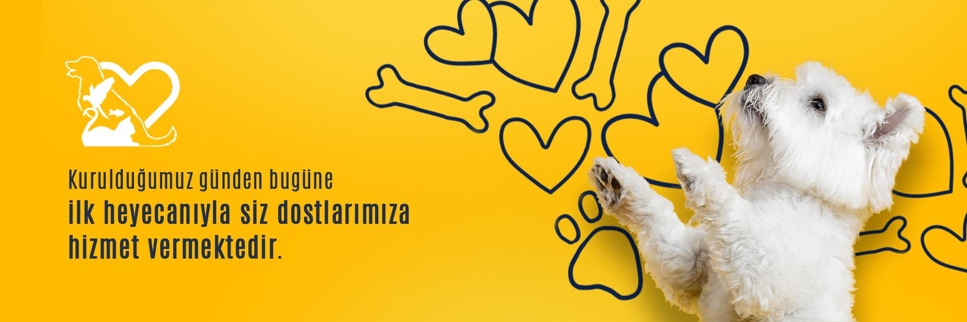 lotus veteriner bursa