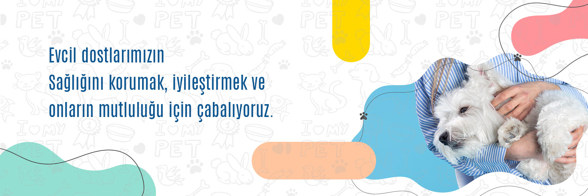 lotus veteriner kliniği