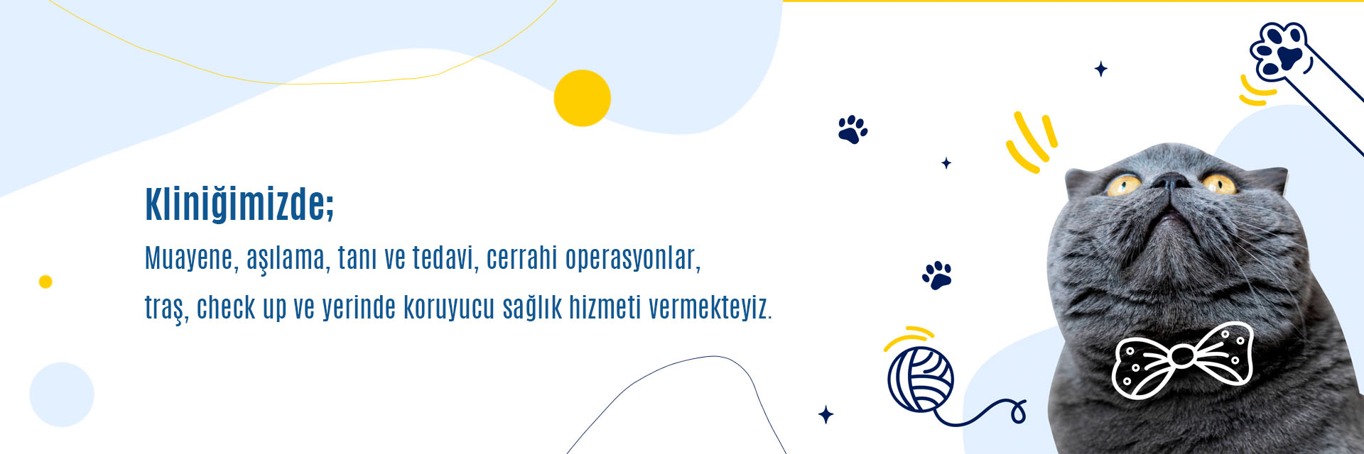 bursa veteriner hizmetler