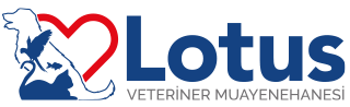 Lotus Veteriner Logo